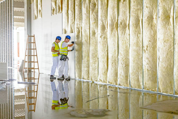 Trusted South Barrington, IL Insulation Experts